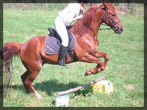 Traver Rocket Richard - Jeg hopper med Rocket billede 6