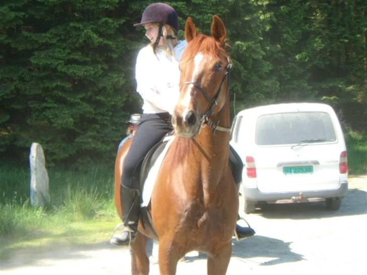 Traver Rocket Richard - Rocket og meg før distanserittet billede 11