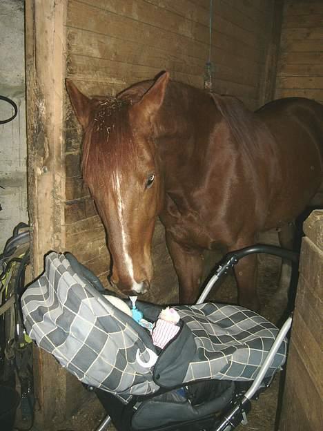 Traver Rocket Richard - Rocket koser med Julie, datteren min billede 13