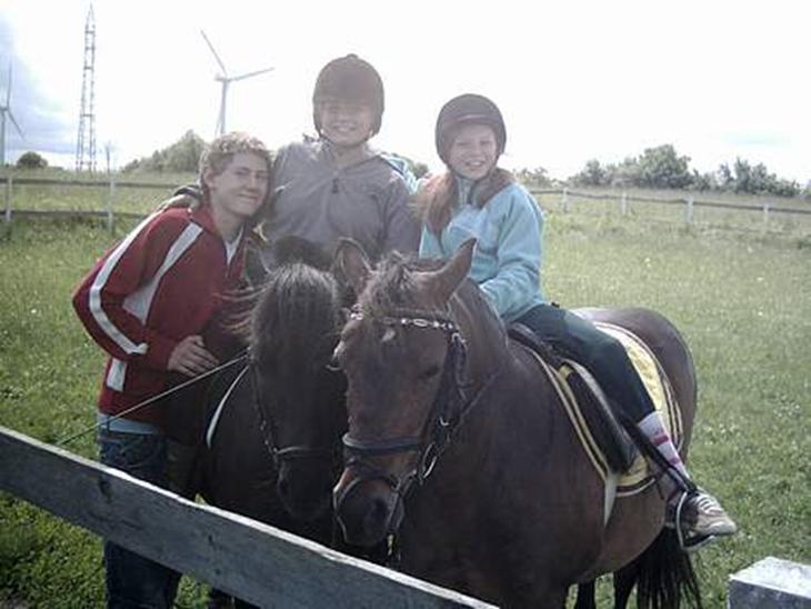 {{currentPhoto.altText}} billede {{currentPhoto.number}}