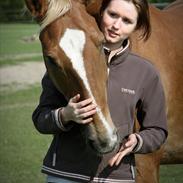 Anden særlig race Fischer 