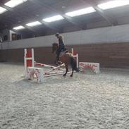 Anden særlig race Fanny