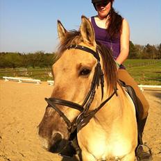 Anden særlig race Dundee