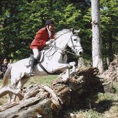 Holstener Karisma.. part