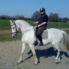 Holstener Karisma.. part