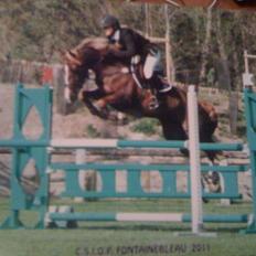 Anden særlig race Hard Times