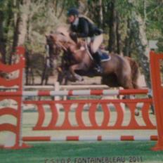 Anden særlig race Hard Times