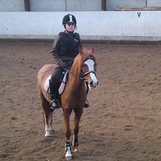 Anden særlig race Barbie (Stella)