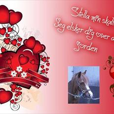 Anden særlig race Barbie (Stella)