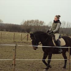 Anden særlig race Rambo