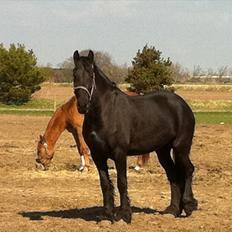 Frieser WHISPER GIRL <3 * solgt og savnet *