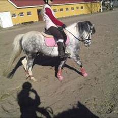 Anden særlig race Pink Lady <3 savnet  