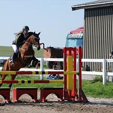 Anden særlig race Double Duffy