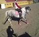 Anden særlig race Pink Lady <3 savnet  