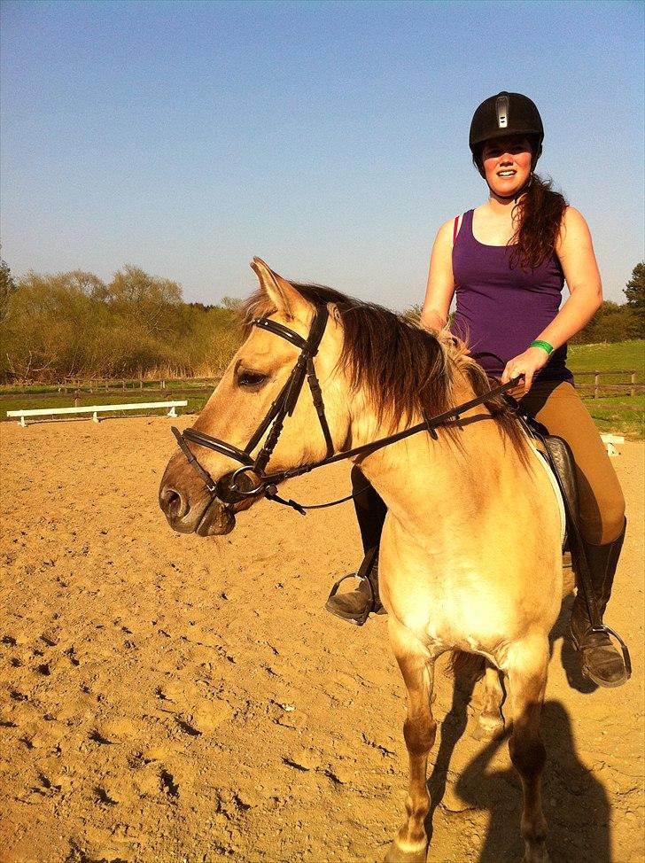 Anden særlig race Dundee billede 6