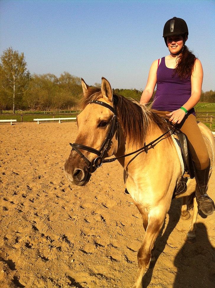 Anden særlig race Dundee billede 9