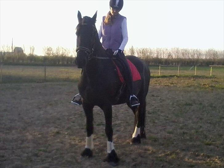 Frieser maike.s "solgt" billede 17