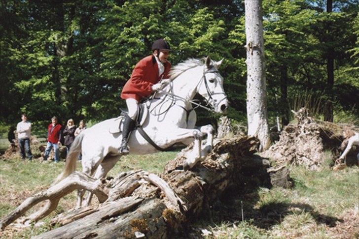 Holstener Karisma.. part billede 1