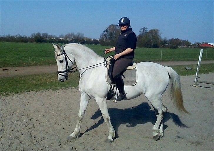 Holstener Karisma.. part billede 3