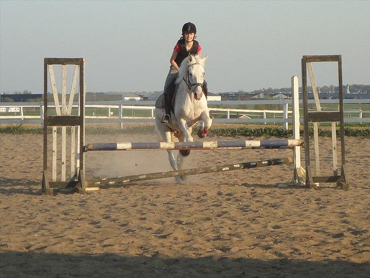 Knabstrupper Zeba ;D billede 16