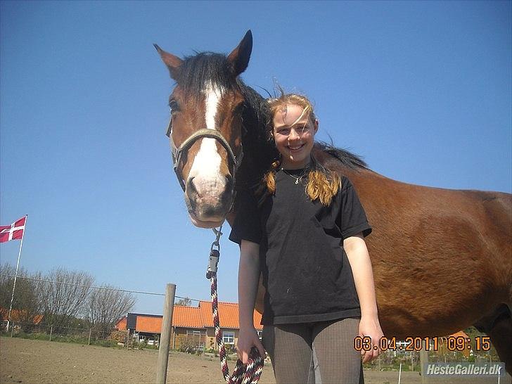 New Forest Cocio<3 - SMIL!! der bliver taget billeder ;D  Foto: Sille Clausen billede 7