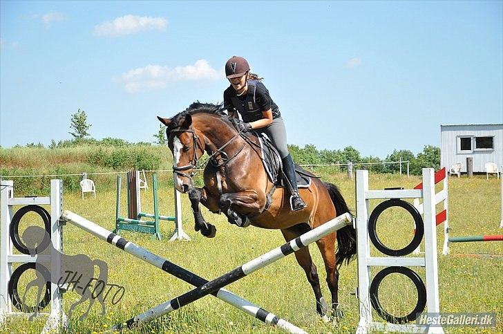 Holstener Scarlett solgt - sommer 2010 billede 10