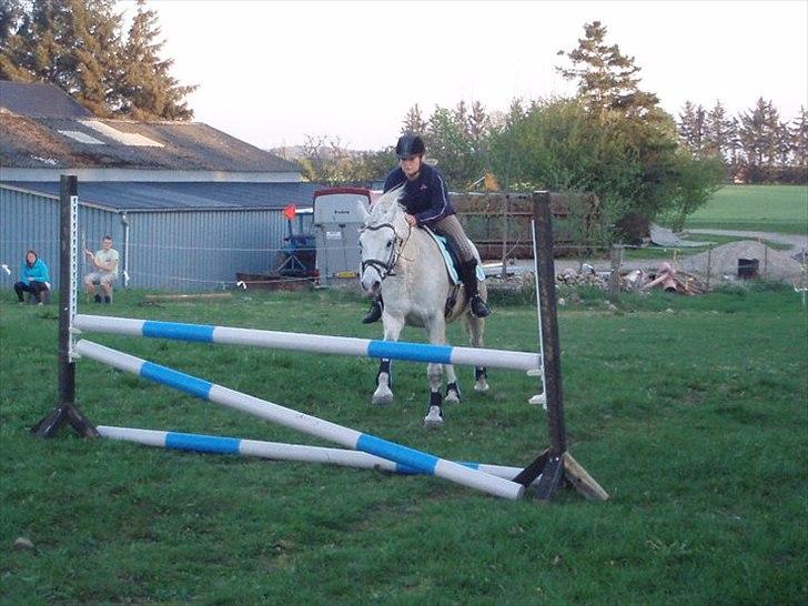 Connemara Birkely surprise  billede 9