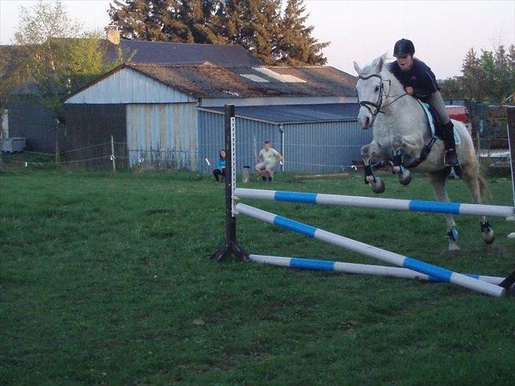 Connemara Birkely surprise  billede 10