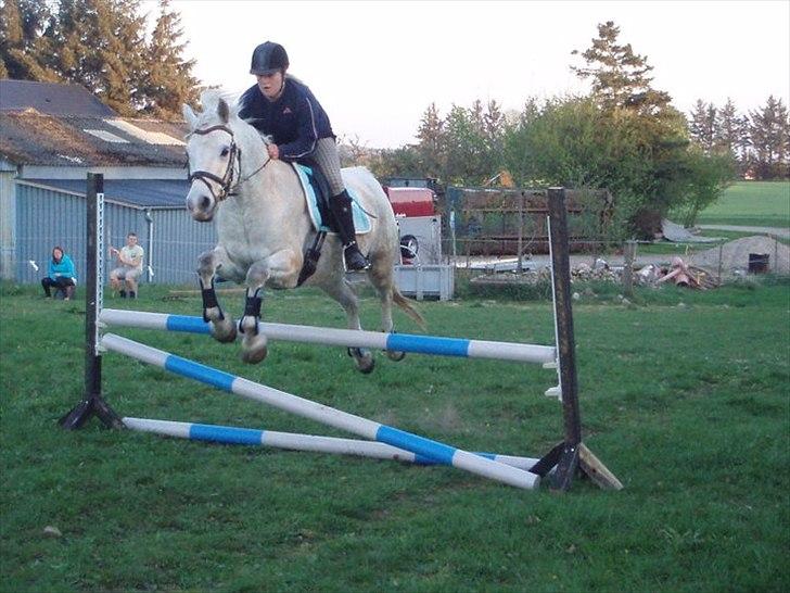 Connemara Birkely surprise  billede 11