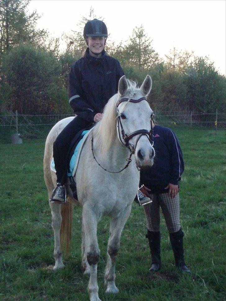 Connemara Birkely surprise  billede 12