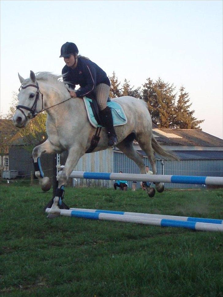 Connemara Birkely surprise  billede 13