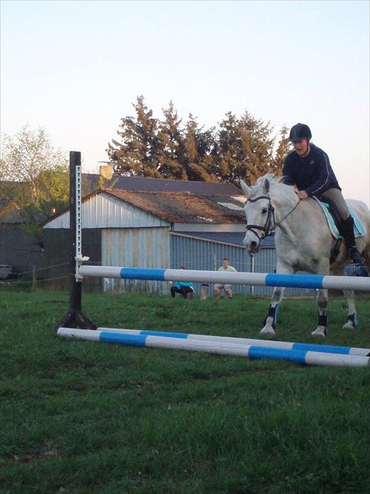 Connemara Birkely surprise  billede 15