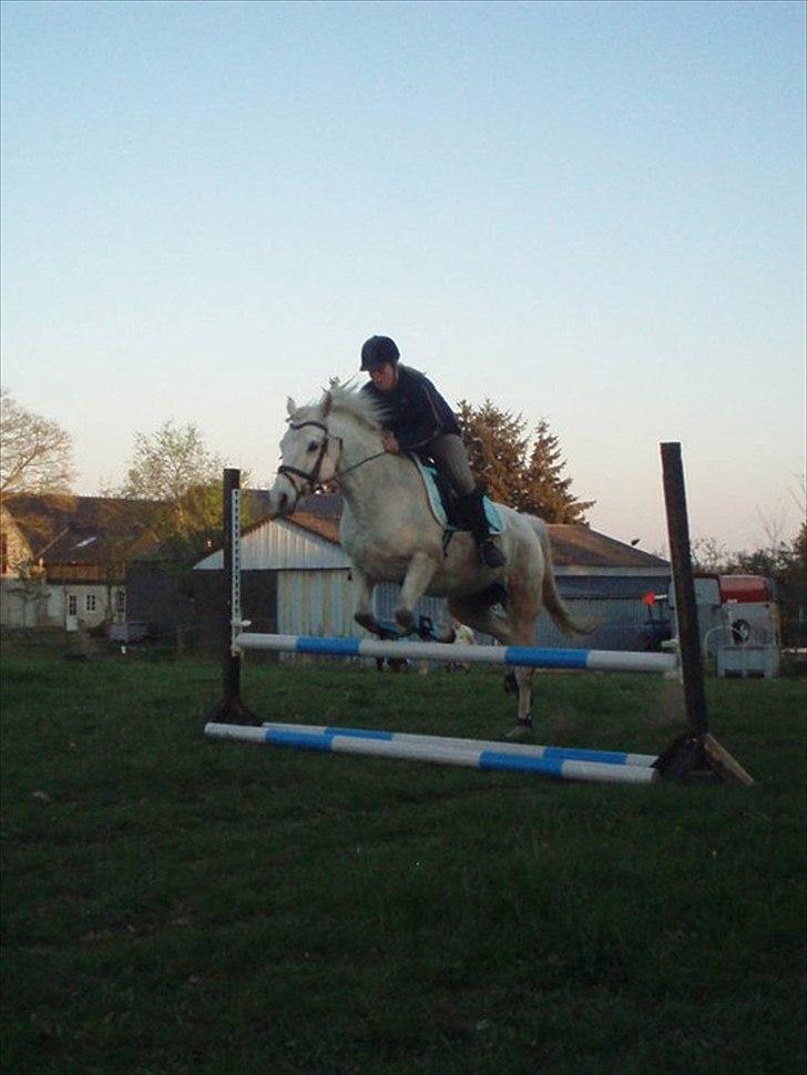 Connemara Birkely surprise  billede 16