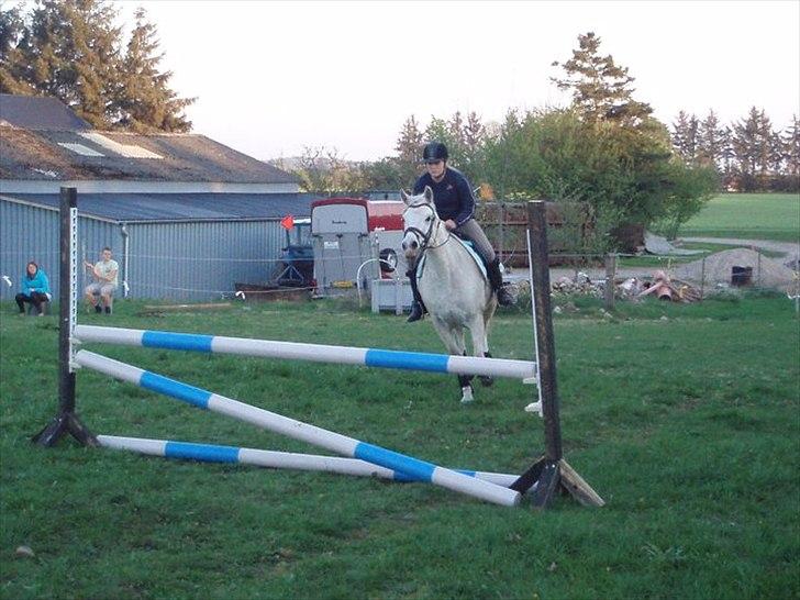 Connemara Birkely surprise  billede 17