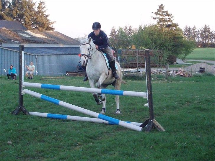 Connemara Birkely surprise  billede 18