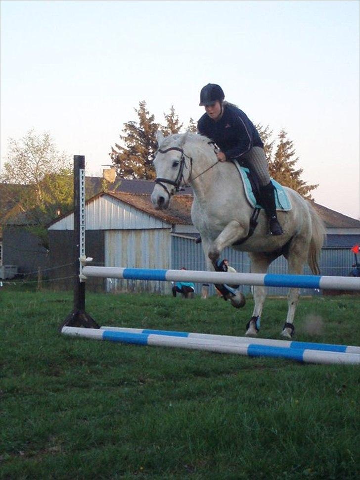 Connemara Birkely surprise  billede 19