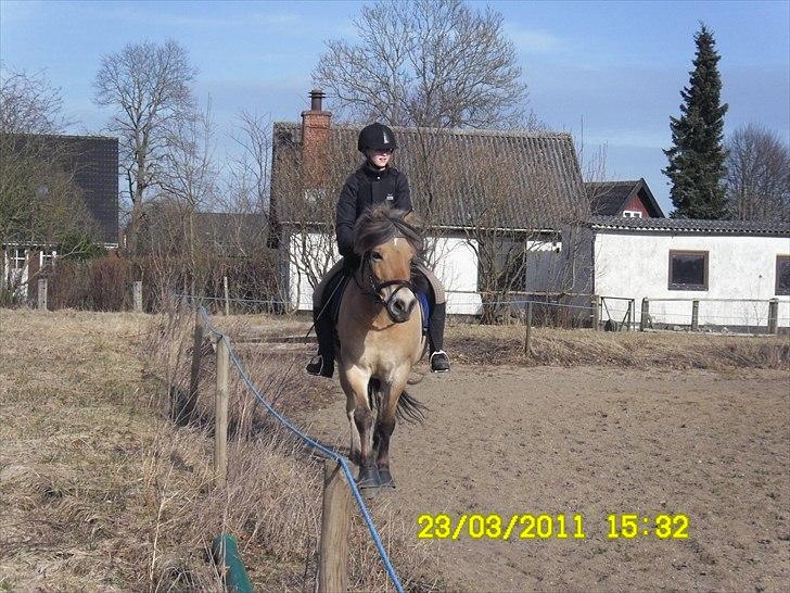 Anden særlig race Nobel <3 SOLGT! - Nobel og mig <3 billede 6