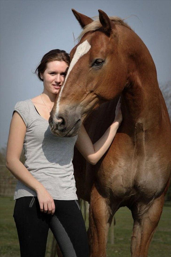 Anden særlig race Fischer  - Fotograf: Sofie Lambæk Krog  billede 1