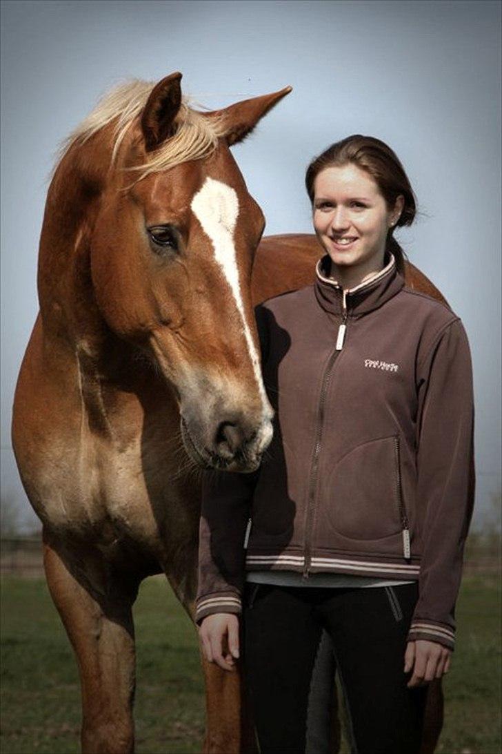 Anden særlig race Fischer  - Fotograf: Sofie Lambæk Krog  billede 3