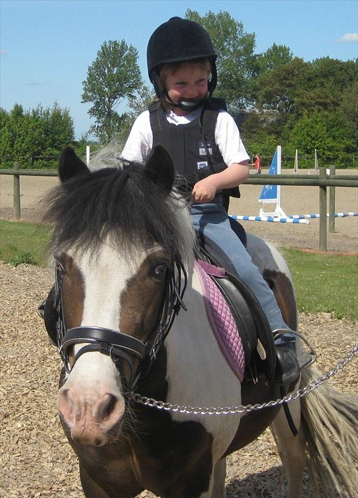 Anden særlig race Pinocchio billede 10