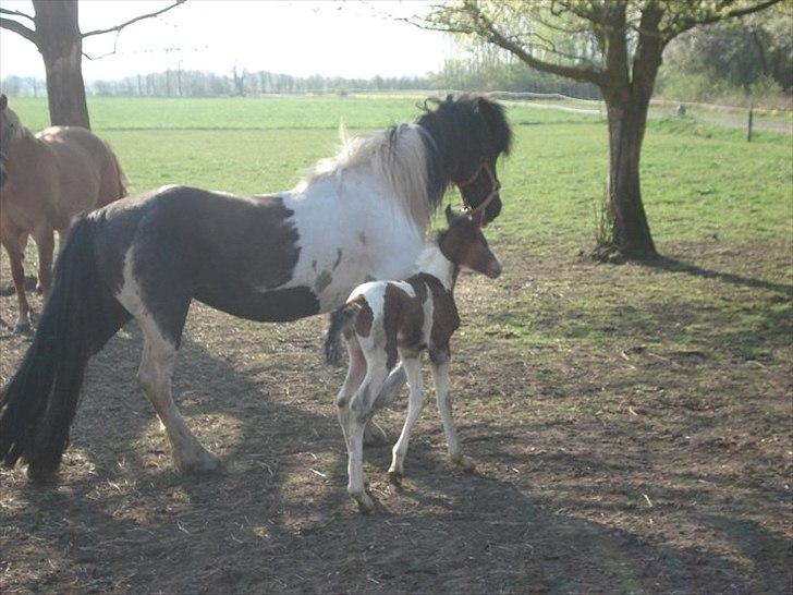 Anden særlig race Sunday billede 4