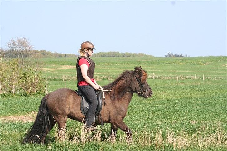 Islænder Ása fra Reykjavík billede 6