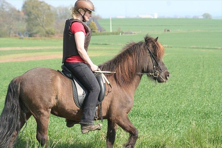 Islænder Ása fra Reykjavík billede 7