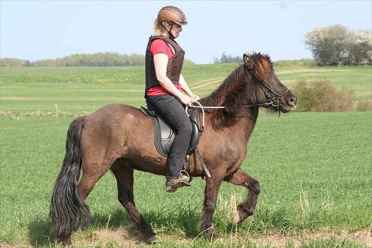 Islænder Ása fra Reykjavík billede 8