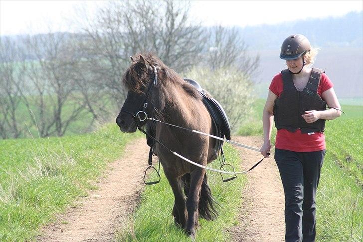 Islænder Ása fra Reykjavík billede 9
