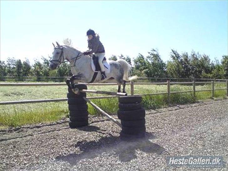 Anden særlig race Hyltgaards Aston <3  - 7# - Du tar´ mig tættere på himlen :-* billede 7