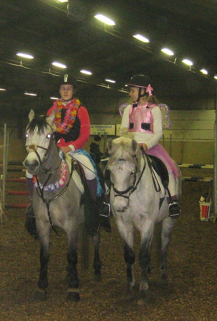 Anden særlig race Hyltgaards Aston <3  - 8# - Sarah & Nefryt - Anne og Aston. Savner den tid! billede 8
