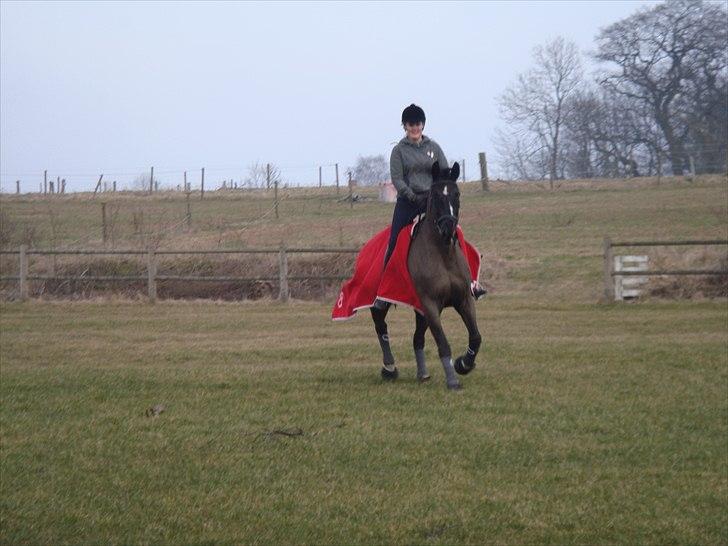 Oldenborg Flicka *Solgt* - På springbanen i gråsten :-) billede 3