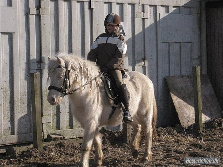 Anden særlig race Balder "solgt" billede 1