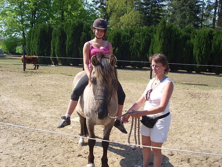 Anden særlig race Skovbjerggaards Astucia - 1. gang jeg sidder på Astucia<3 billede 13